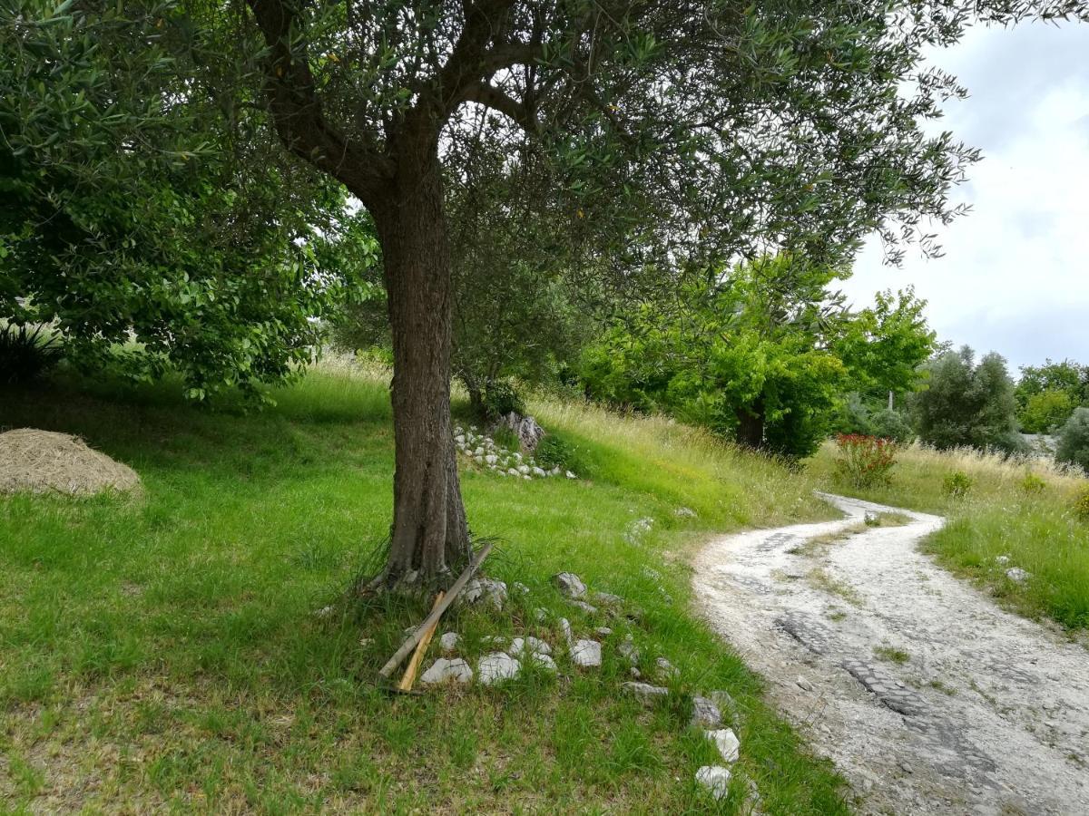Agriturismo Campo Aperto Belvedere Ostrense Buitenkant foto
