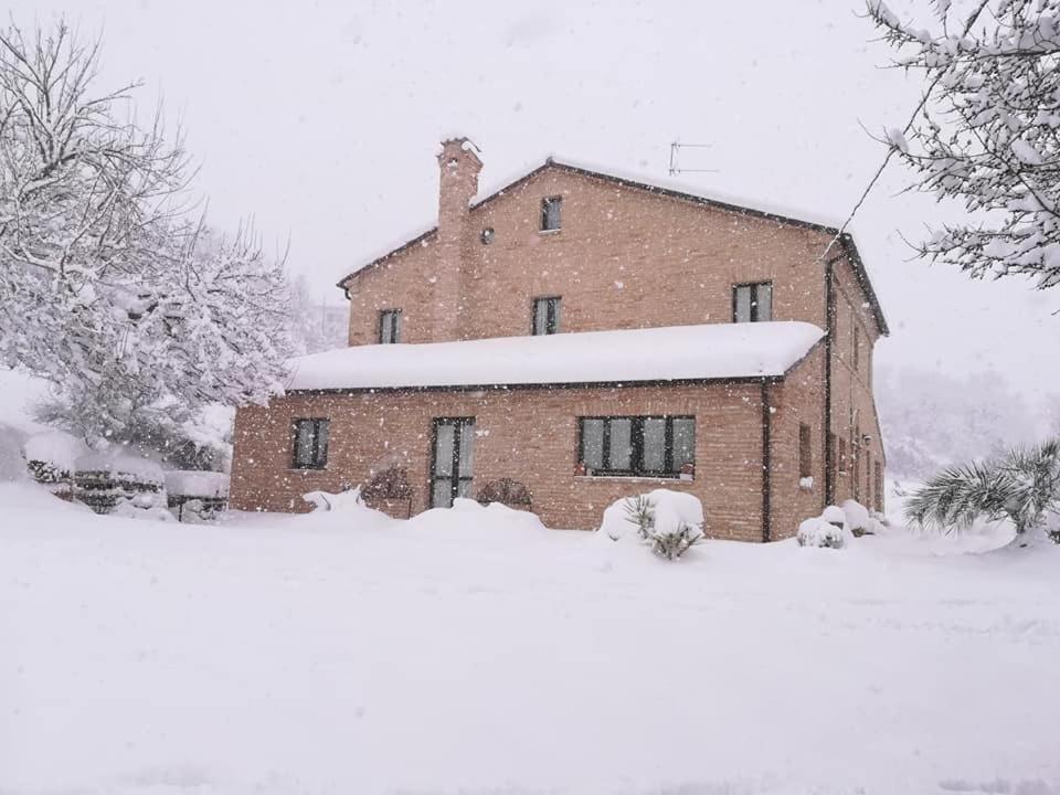 Agriturismo Campo Aperto Belvedere Ostrense Buitenkant foto