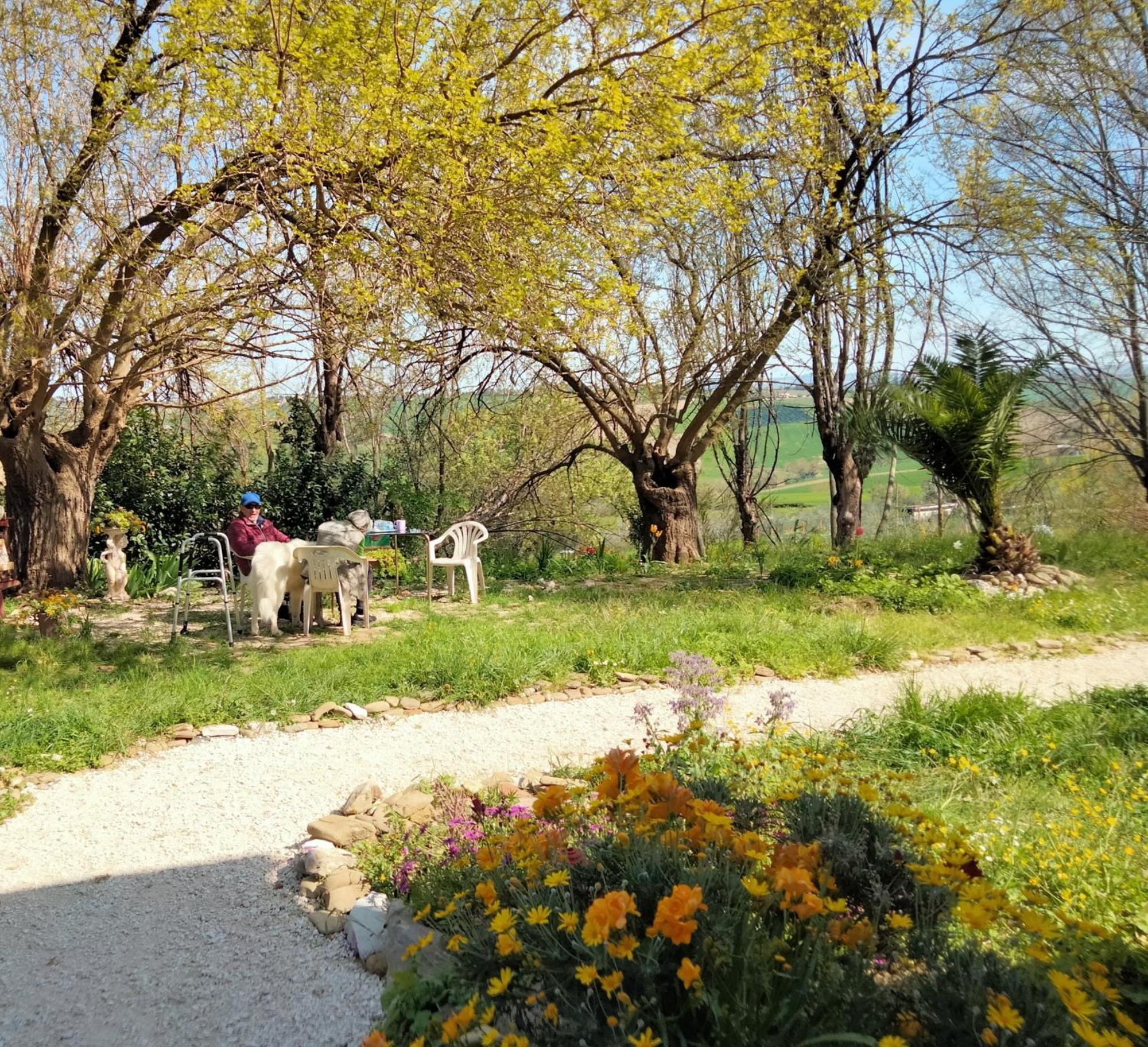 Agriturismo Campo Aperto Belvedere Ostrense Buitenkant foto