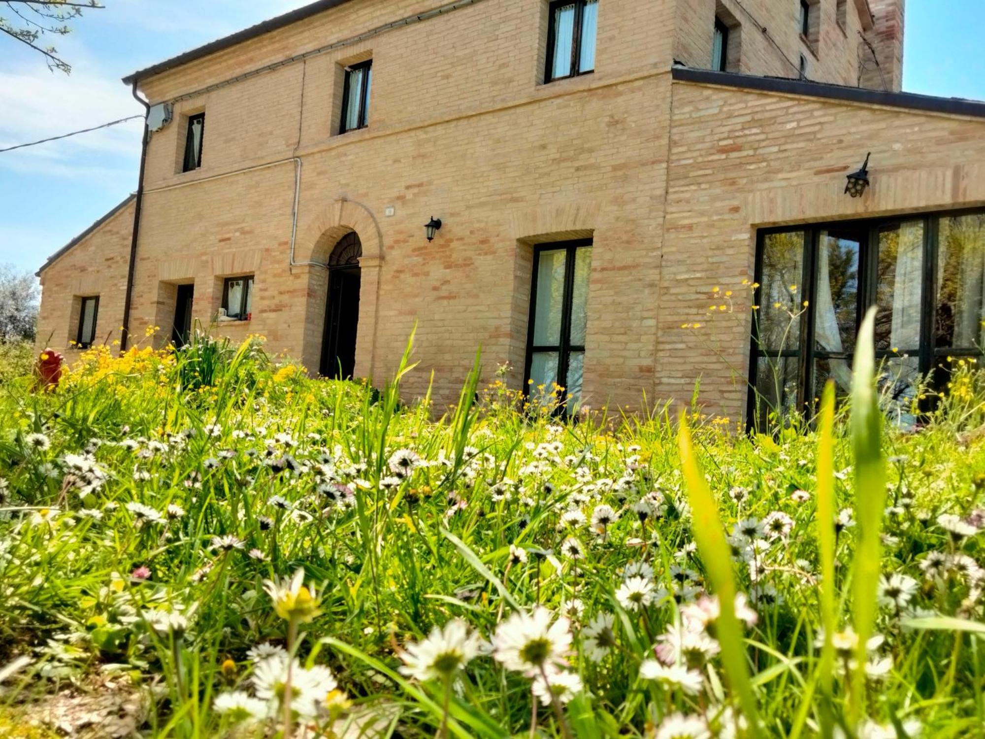 Agriturismo Campo Aperto Belvedere Ostrense Buitenkant foto